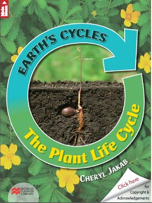 cover image of Earth's Cycles: The plant life cycle